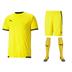 Puma Team Liga Full Kit Bundle of 15 (Short Sleeve)