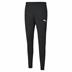 Puma team RISE Poly Training Pants