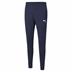 Puma team RISE Poly Training Pants