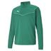 Puma team RISE Half Zip Top