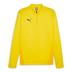 Puma team GOAL Half Zip Top