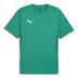 Puma team GOAL Short Sleeve Training Shirt