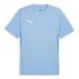 Puma team GOAL Short Sleeve Training Shirt