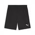 Puma Team GOAL GK Shorts