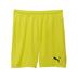 Puma Team GOAL GK Shorts