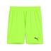 Puma Team GOAL GK Shorts