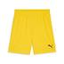 Puma Team GOAL GK Shorts