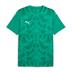 Puma Team ULTIMATE Short Sleeve Shirt