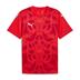 Puma Team ULTIMATE Short Sleeve Shirt