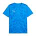 Puma Team ULTIMATE Short Sleeve Shirt