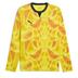 Puma Team TARGET Long Sleeve GK Shirt