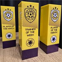 Prodigy Trophy Award (Yellow/Purple)